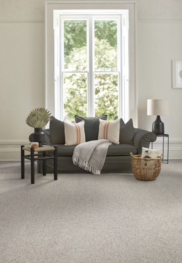 Abingdon Flooring Charter Berber Deluxe